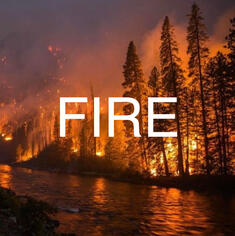 Fire (walk with me)
